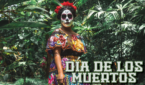 Dia de los muertos banner