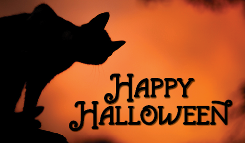Happy Halloween! banner with a silhouette of a black cat and orange background