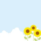 Sunflowers and clouds