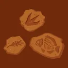 Brown background with a leaf fossil, fish fossil, and dinosaur footprint fossil. 