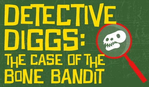 Banner featuring detective Diggs performer