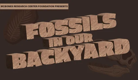 Fossil in our Backyard Poster