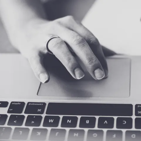 Adult Using a Computer
