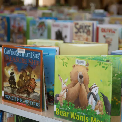 Picture Books at the Library