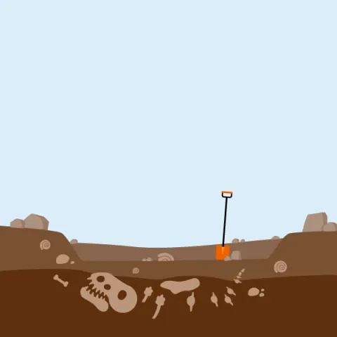 Dinosaur fossil dig site.